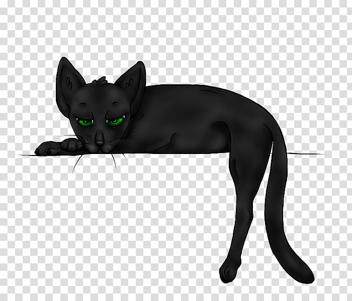 Cat in the Long, Black Coat transparent background PNG clipart