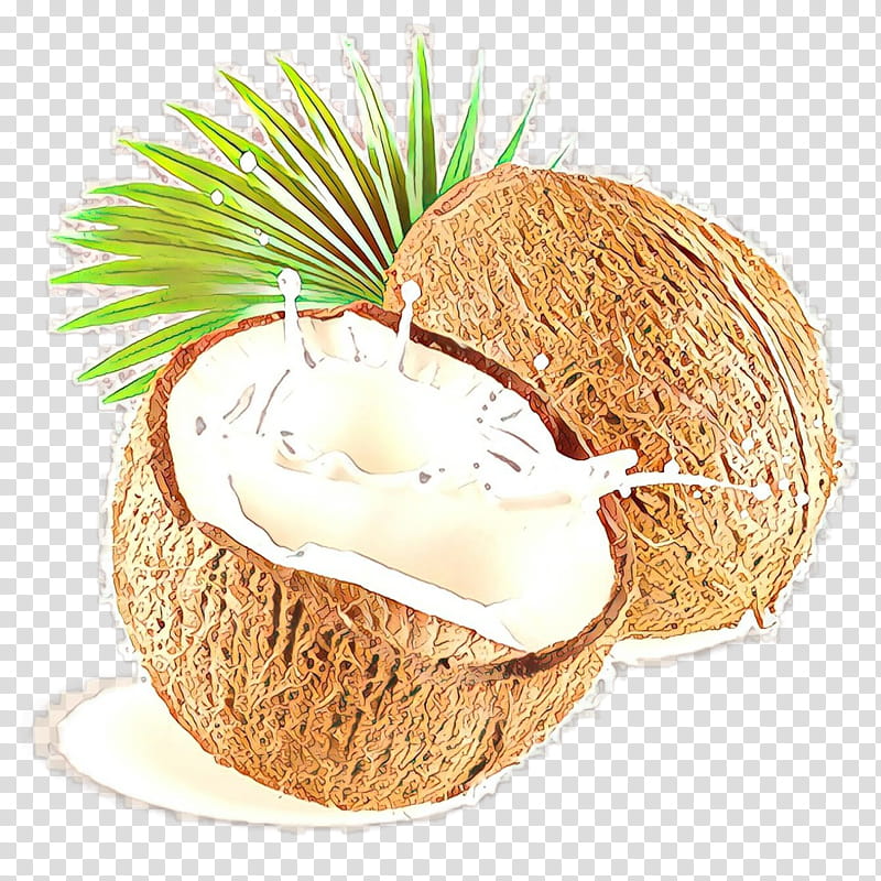 Coconut, Cartoon, Coconut Water, Food transparent background PNG ...