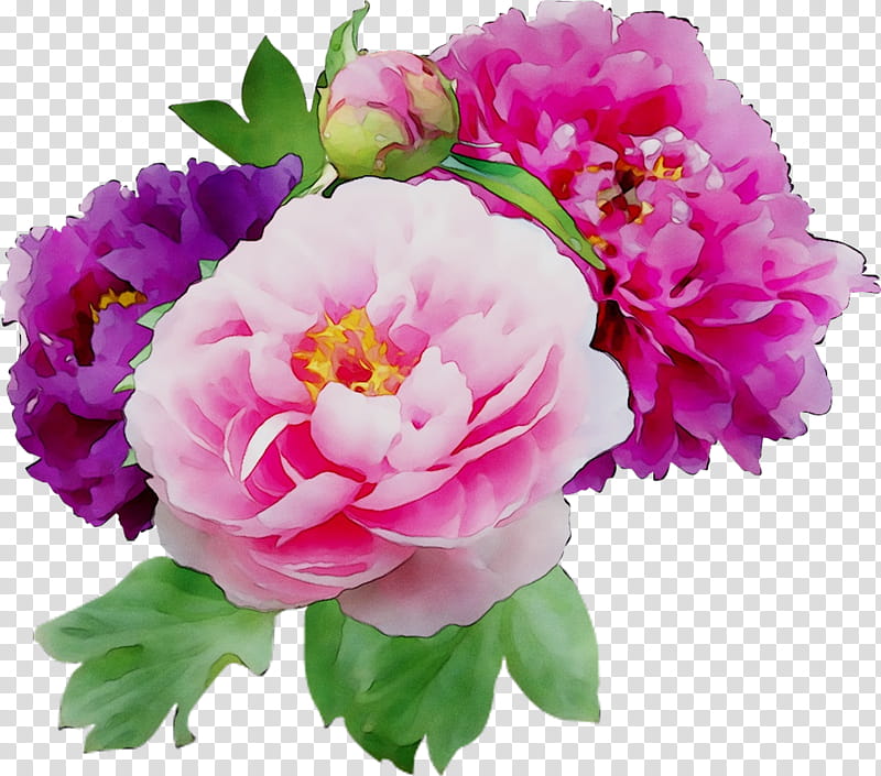 Bouquet Of Flowers Drawing, Peony, 2018, Plant, Pink, Petal, Common Peony, Cut Flowers transparent background PNG clipart