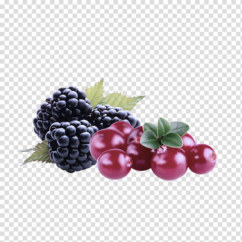 berry blackberry fruit frutti di bosco natural foods, Grape, Plant, Rubus, Superfood transparent background PNG clipart