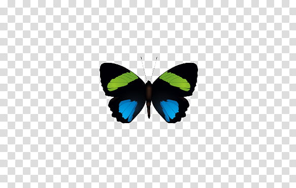 mariposas, blue, green, and black butterfly transparent background PNG clipart