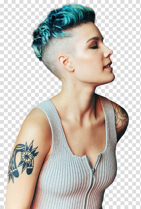 Halsey transparent background PNG clipart