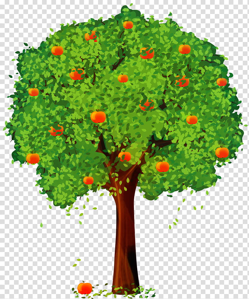 Apple Tree, Apple Dumpling, Fruit, Fruit Tree, Plant, Grass, Flower, Woody Plant transparent background PNG clipart