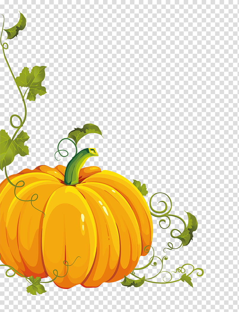 Halloween Pumpkin, Halloween , Great Pumpkin, Hayride, Vine, Gourd, Thanksgiving, Calabash transparent background PNG clipart