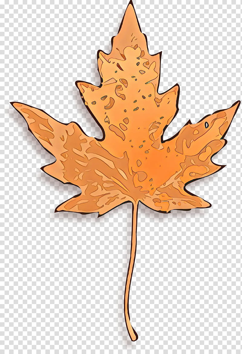 Maple leaf, Cartoon, Tree, Woody Plant, Plane, Black Maple, Sweet Gum, Deciduous transparent background PNG clipart