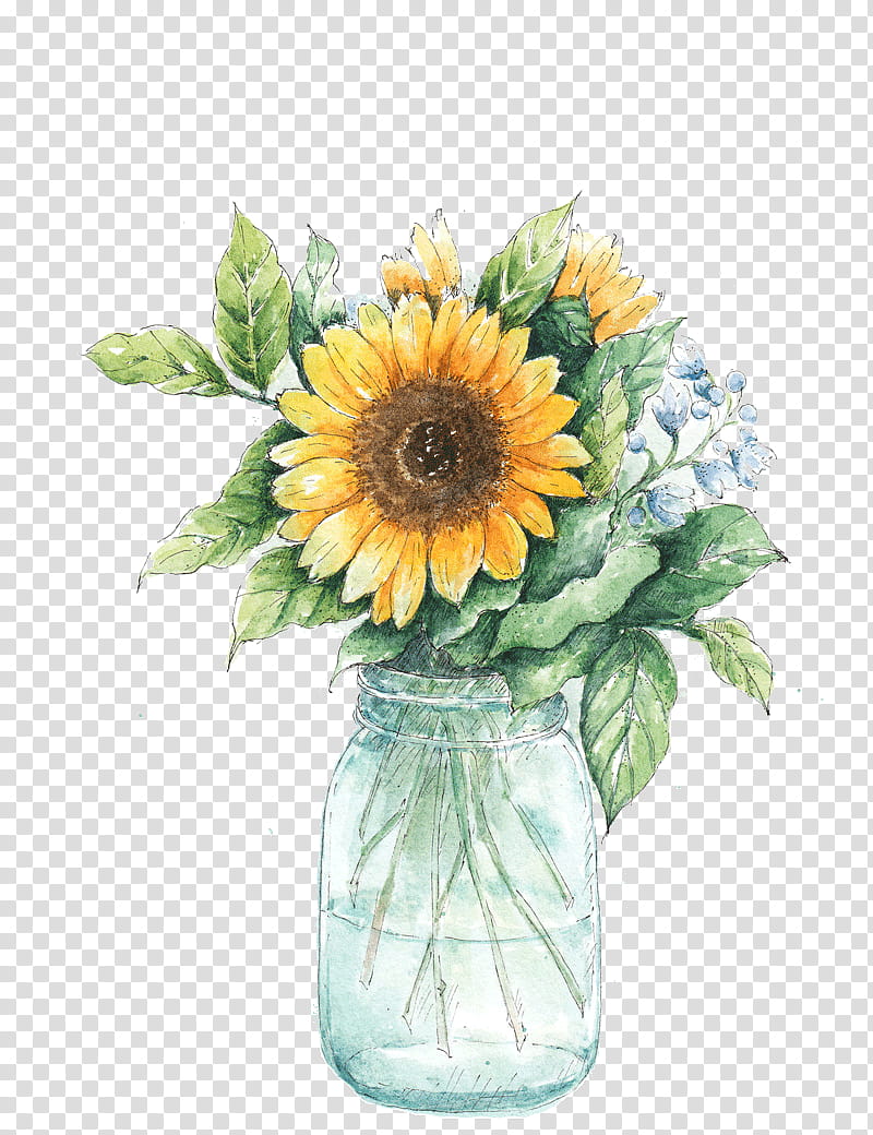 Bouquet Of Flowers Drawing, Common Sunflower, Watercolor Painting, Jar, Vase, Sunflower Seed, Cut Flowers, Plant transparent background PNG clipart