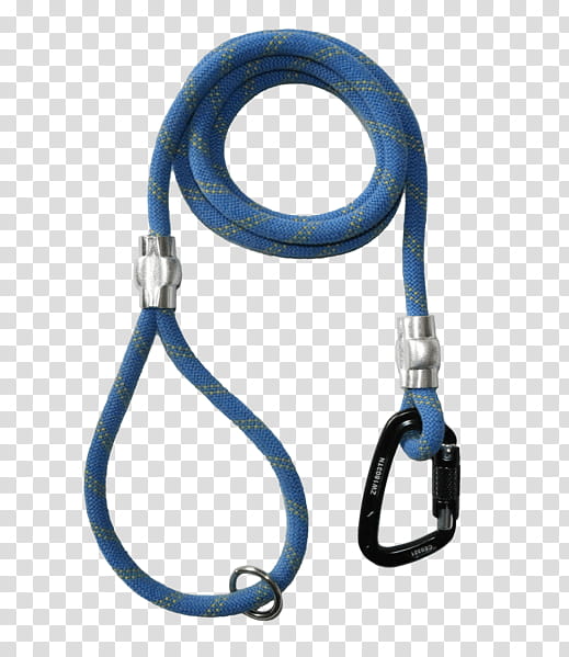 Dog, Leash, Collar, Pet, Climbing Rope, Humane Society, Rescue, Alachua transparent background PNG clipart