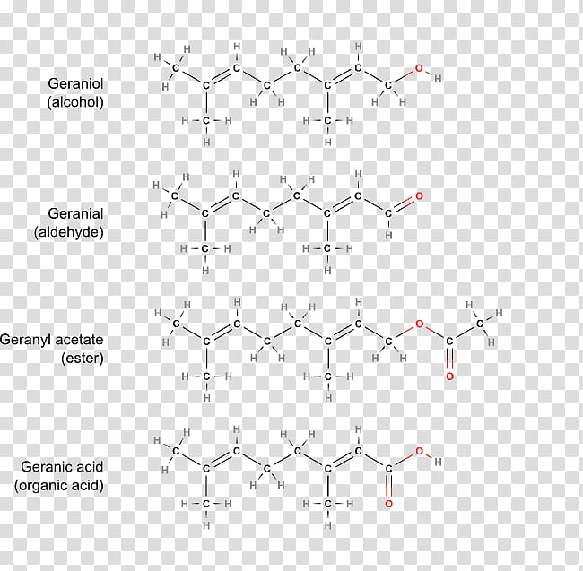 Oil, Functional Group, Essential Oil, Chemistry, Organic Chemistry, Molecule, Chemistry Of Essential Oils Made Simple, Lactone transparent background PNG clipart