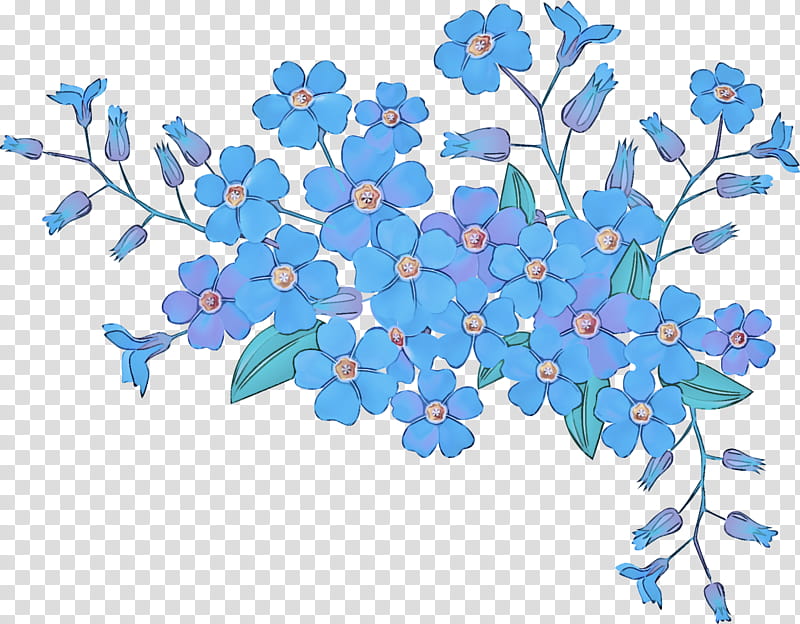 blue flower plant branch forget-me-not, Forgetmenot, Petal, Wildflower, Borage Family transparent background PNG clipart