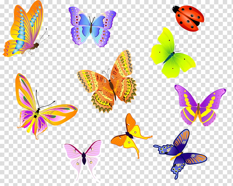 Butterfly Drawing, Insect, Cartoon, Line Art, Cynthia Subgenus, Moths And Butterflies, Pollinator, Animal Figure transparent background PNG clipart