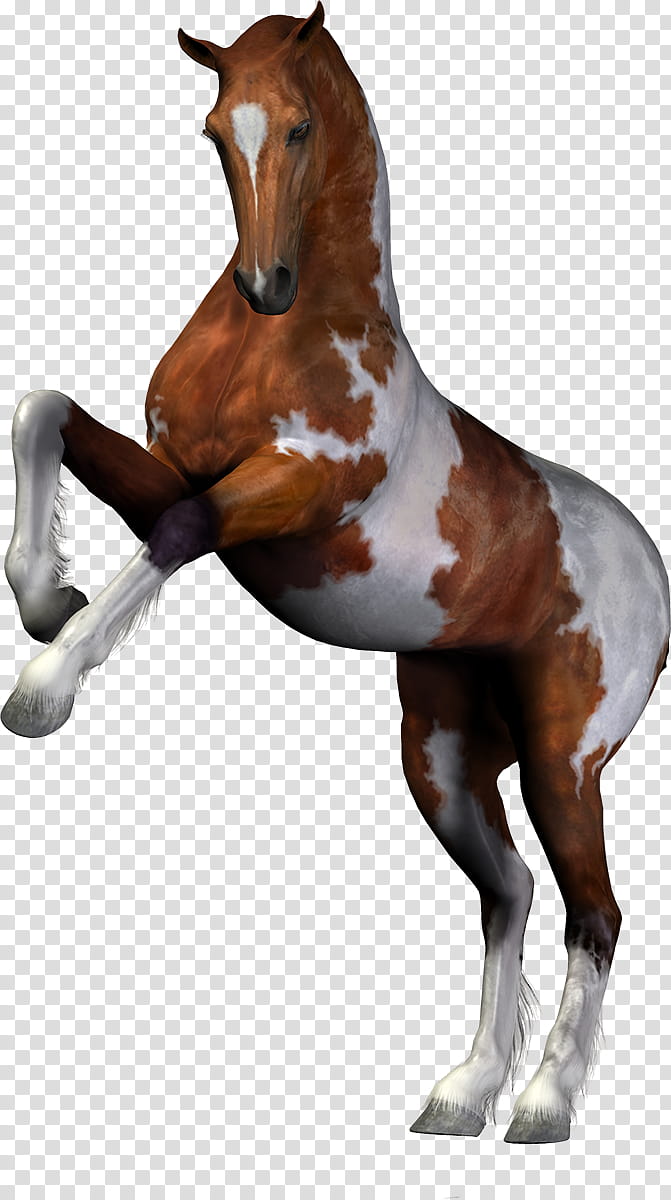 Horse Horse, Mare, Pixel Art, Equestrian, Digital Art, Animal Figure, Sorrel, Stallion transparent background PNG clipart