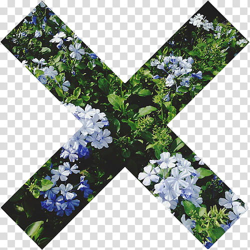 AESTHETIC GRUNGE, white and blue leadwort flower field during daytime transparent background PNG clipart