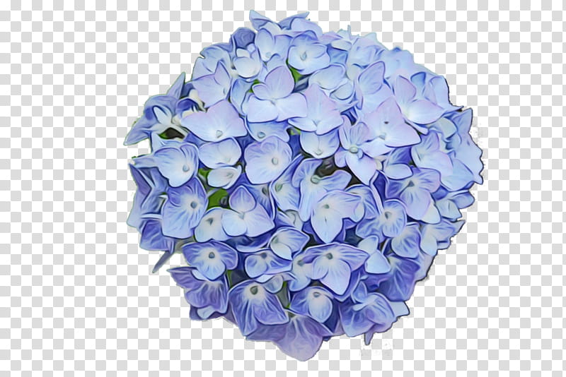 Watercolor Flower Wreath, Blue, Hydrangea, Cut Flowers, Watercolor Painting, Wedding, Silk, Flower Bouquet transparent background PNG clipart