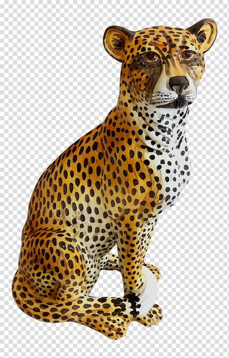 Cats, Cheetah, Leopard, Jaguar, Animal, Snout, Animal Figure, Wildlife transparent background PNG clipart