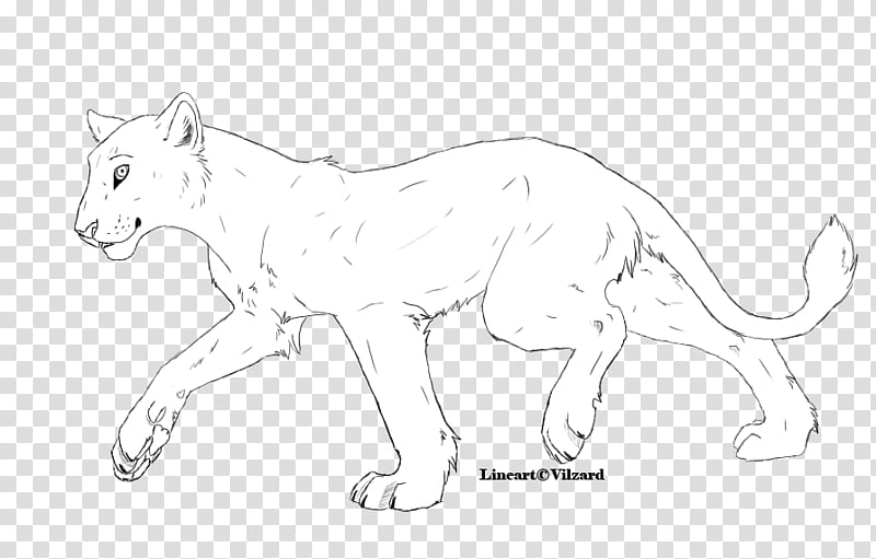 Free Lioness Lineart, black animal illustration transparent background PNG clipart