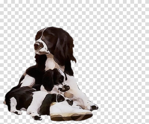 dog cocker spaniel english springer spaniel sporting group english cocker spaniel, Watercolor, Paint, Wet Ink transparent background PNG clipart