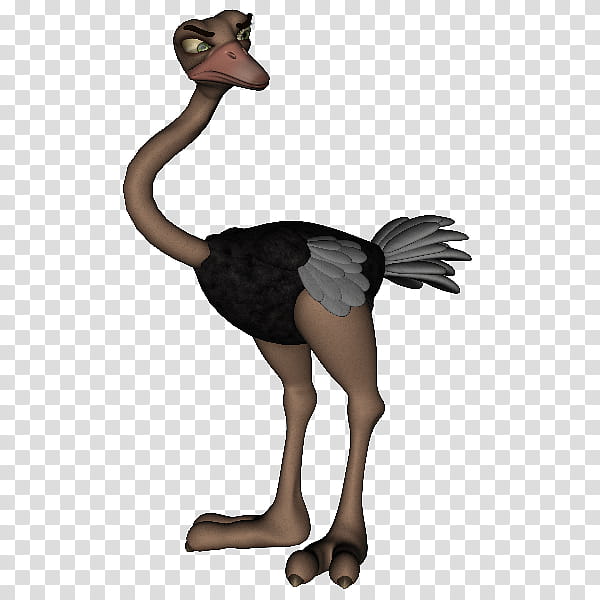 Cartoon Bird, Common Ostrich, Emu, Cartoon, Ratite, Moa, Flightless Bird, Beak transparent background PNG clipart