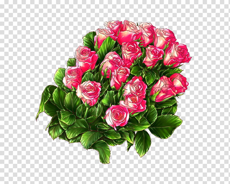 FREE Rose Line, pink petaled flowers illustration transparent background PNG clipart