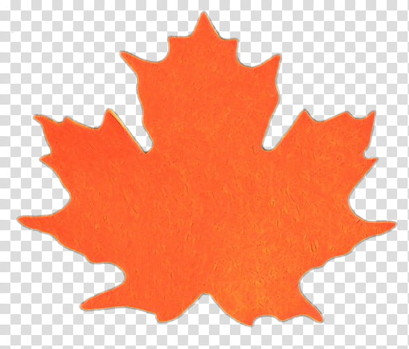 Maple leaf, Cartoon, Tree, Orange, Woody Plant, Plane, Black Maple transparent background PNG clipart