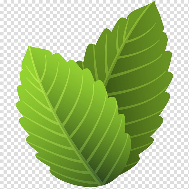 Banana Leaf, Green, Plant, Flower, Tree, Herbaceous Plant transparent background PNG clipart