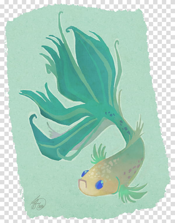 Fish, Biology, Turquoise, Aqua, Teal, Tail, Parrotfish transparent background PNG clipart