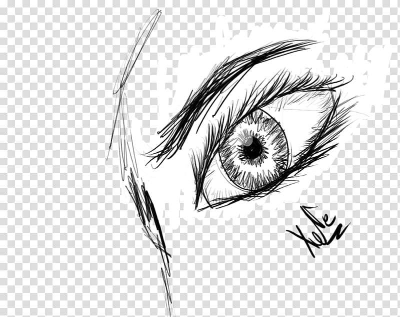 eye :, left human eye sketch transparent background PNG clipart