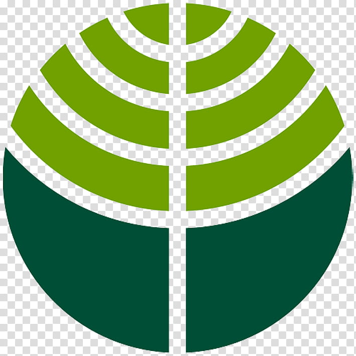 Las Vegas Logo, Chrismukkah, Hanukkah, Menorah, Poster, Art Museum, Green, Leaf transparent background PNG clipart