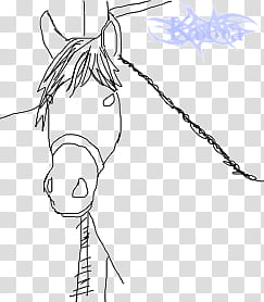 Horsehead Free Lineart transparent background PNG clipart