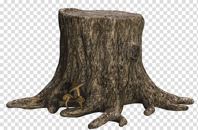 Tree Stump I transparent background PNG clipart