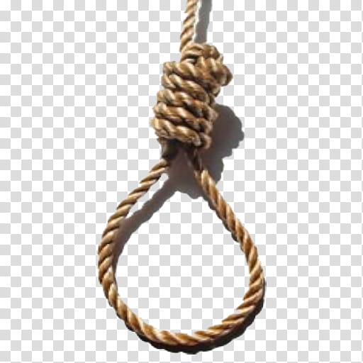 Metal, Hanging, Rope, Noose, Suicide By Hanging, Capital Punishment, Neck, Hangmans Knot transparent background PNG clipart