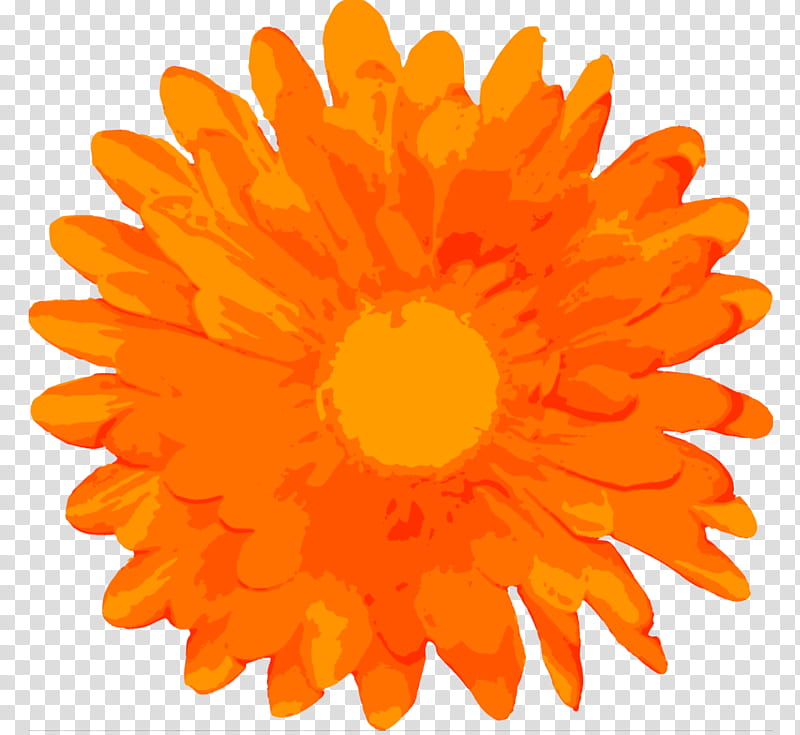 Marigold Flower, Petal, Orange, Yellow, English Marigold, Gerbera, Plant, Sunflower transparent background PNG clipart
