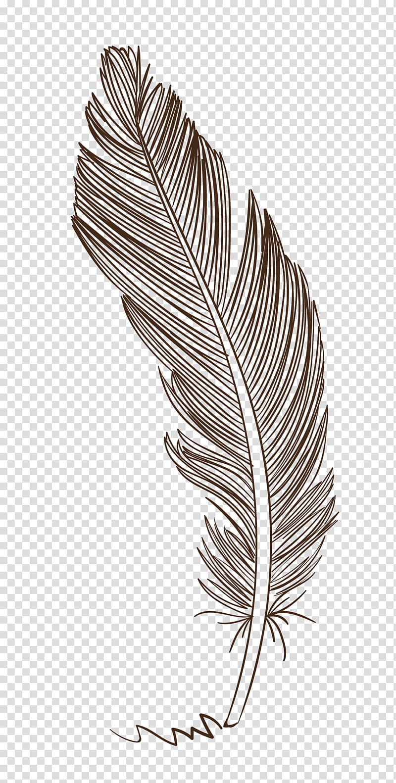 Bird Line Drawing, Quill, Cartoon, Feather, Leaf, Black And White
, Plant, Material transparent background PNG clipart