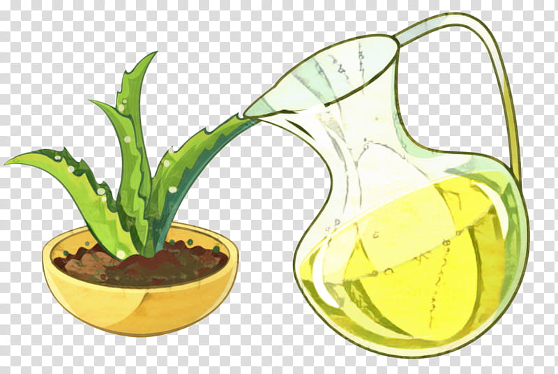 Aloe Vera, Pineapple, Cartoon, Succulent Plant, Drawing, Cactus, Flowerpot, Aloes transparent background PNG clipart