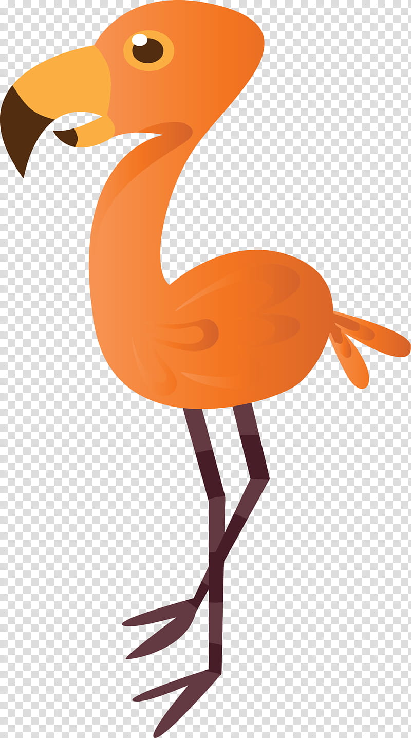 Orange, Abstract Bird, Watercolor Bird, Beak, Greater Flamingo, Water Bird, Animal Figure, Tail transparent background PNG clipart