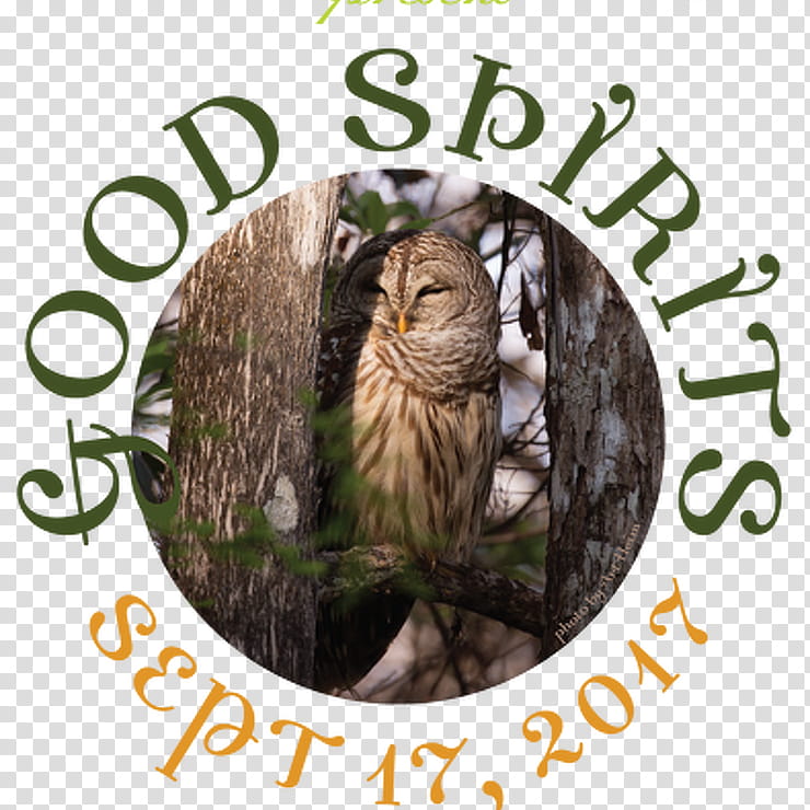 Small Tree, Whiskers, Cat, Owl, Wildlife transparent background PNG clipart