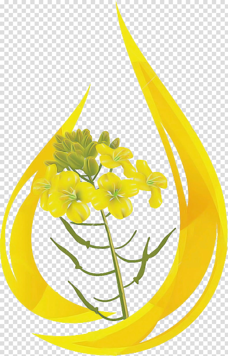 yellow flower plant cut flowers ylang-ylang, Ylangylang, Herbaceous Plant transparent background PNG clipart