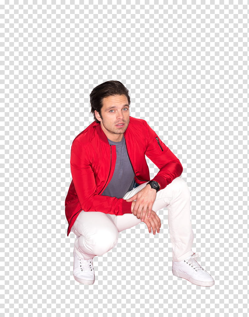 ft Sebastian Stan transparent background PNG clipart