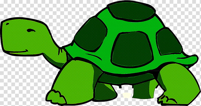 green tortoise turtle reptile galápagos tortoise, Chelonoidis, Animal Figure, Pond Turtle transparent background PNG clipart