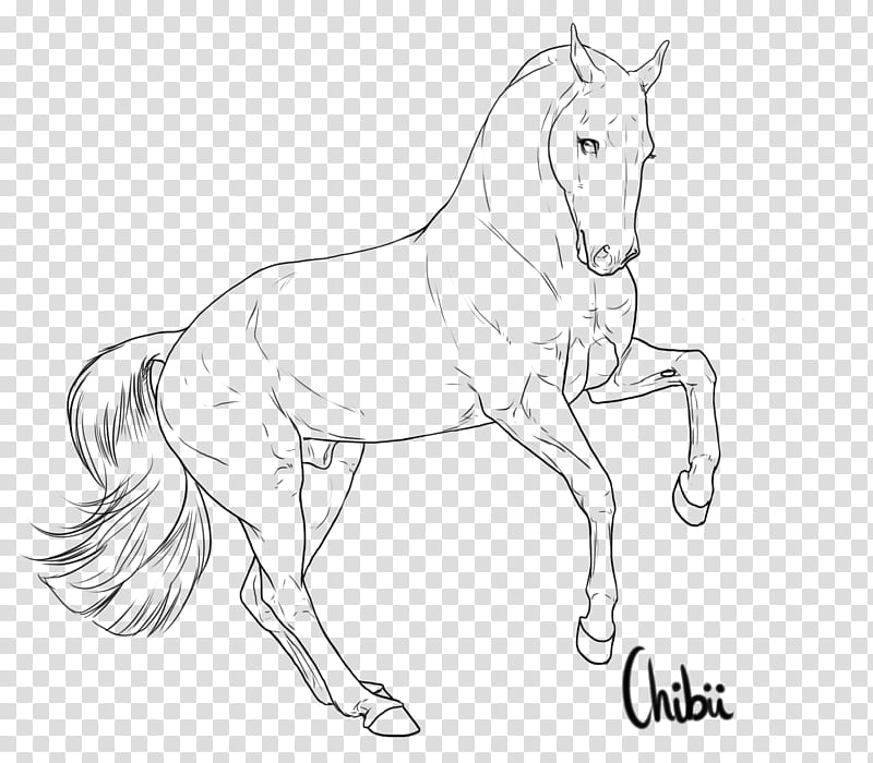 Free Lineart, horse sketch transparent background PNG clipart
