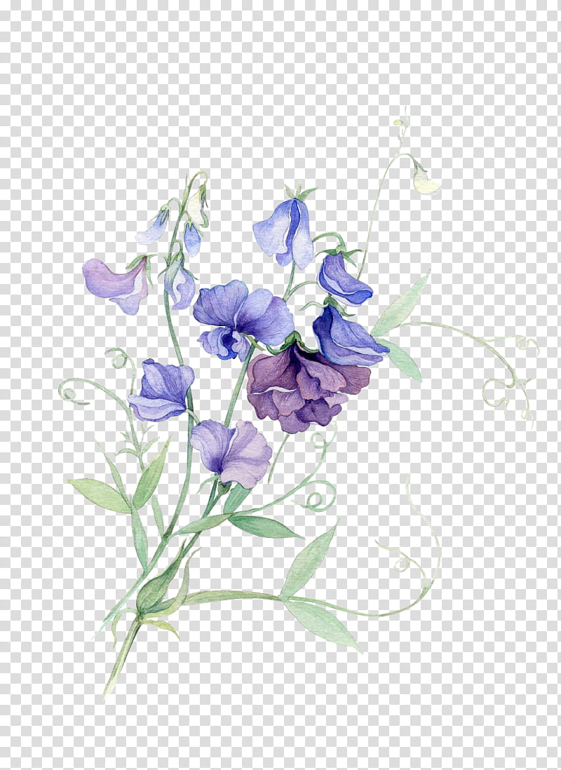Flower, purple-petaled flower transparent background PNG clipart