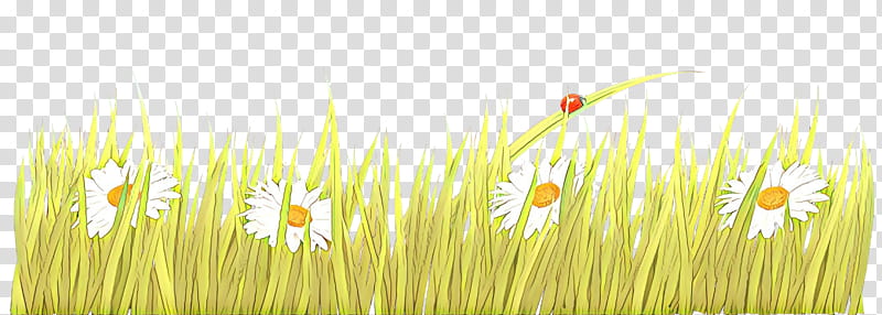 Green Grass, Cartoon, Desktop , Yellow, Meadow, Commodity, Grasses, Computer transparent background PNG clipart