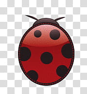 Scrap  Summer Expectations, ladybug art transparent background PNG clipart