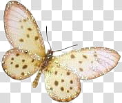 BUTTERFLIES, gray and yellow butterfly transparent background PNG clipart