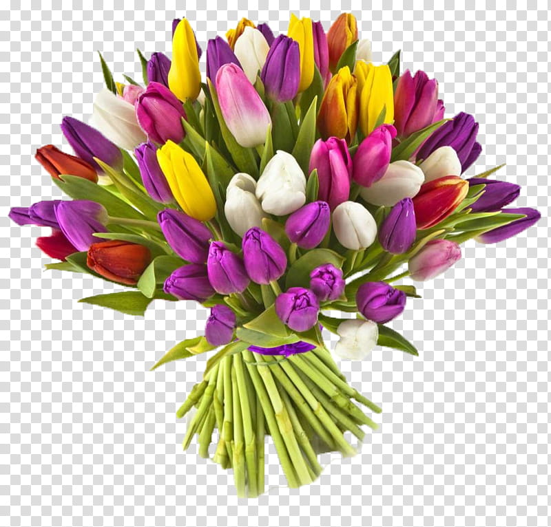 flower cut flowers plant tulip flowering plant, Bouquet, Petal, Lily Family, Crocus, Floristry transparent background PNG clipart