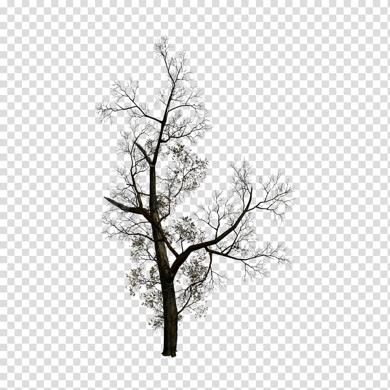 Tree Trunk Drawing, Truth Untold, Bts, Song, Korean Language, Kpop, Love Yourself Tear, Fake Love Rocking Vibe Mix transparent background PNG clipart