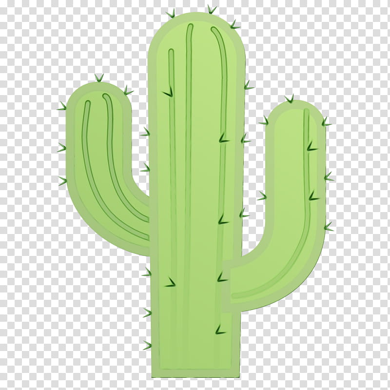 Green Leaf, Echinocereus, Cactus, Saguaro, San Pedro Cactus, Plant, Caryophyllales, Flower transparent background PNG clipart