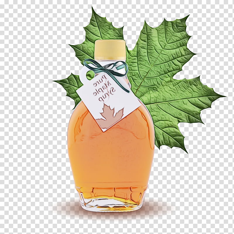 Color, Liqueur, License, Fruit, Leaf, Drink, Plant, Syrup transparent background PNG clipart