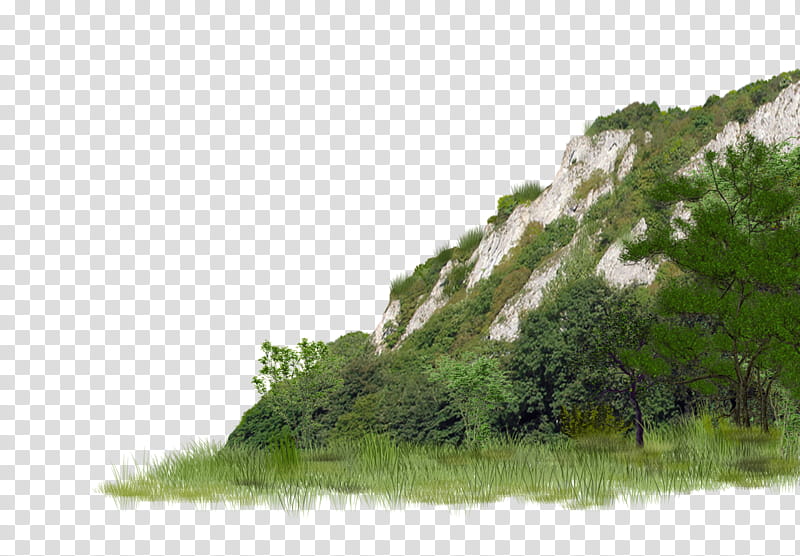 Five nature scenes , hill covered in trees transparent background PNG clipart