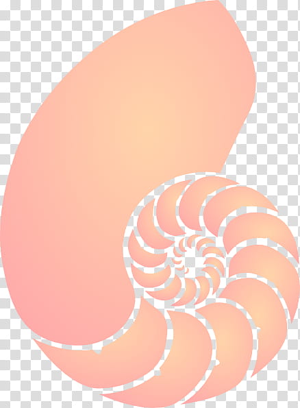 Coral Reef, Nautilidae, Seashell, Chambered Nautilus, Drawing, Nautiluses, Pink, Peach transparent background PNG clipart