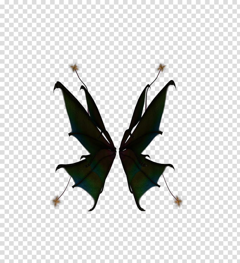 Wings Green Dragonfly Fairy, green and black butterfly transparent background PNG clipart